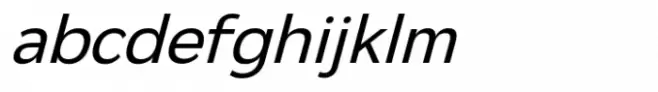 Netadyne Italic