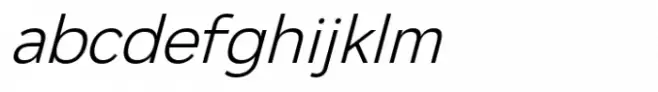 Netadyne Light Italic
