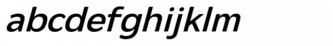 Netadyne Medium Italic
