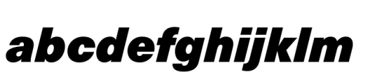 Neue Haas Unica Paneuropean Extra Black Italic