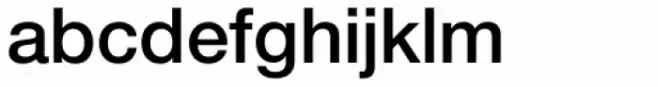 Neue Helvetica Paneuropean 65 Medium