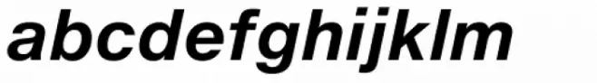 Neue Helvetica eText Std 76 Bold Italic