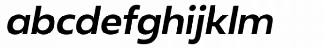 Neue Reman Sans Semi Bold Italic