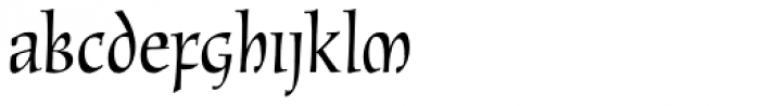 New Oxford RXSN Regular