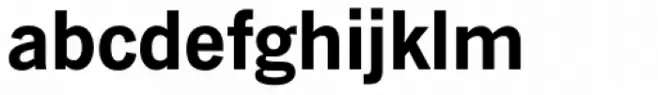 News Gothic SB Bold