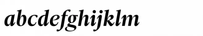 Ni Serif Medium Italic