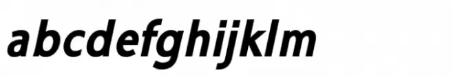 Ninova Pro Extrabold Italic Con