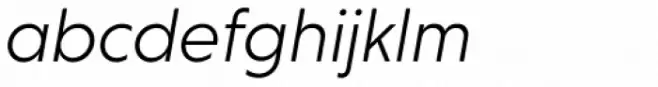 Niveau Grotesk Light Italic