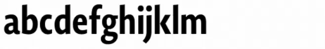 Novel Sans Condensed Pro Bold
