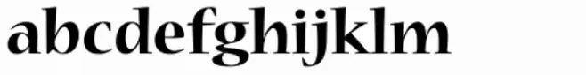 Nueva Std Bold