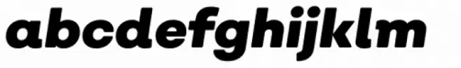 Nutmeg Black Italic