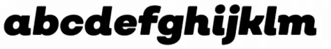 Nutmeg Headline Ultra Black Italic