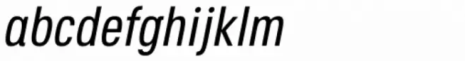 Octagen Book Italic