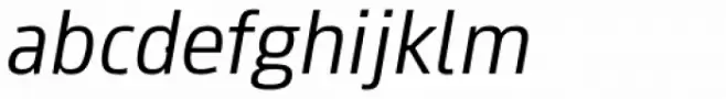 Paradroid Book Italic