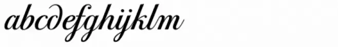 PF Bodoni Script Pro Bold