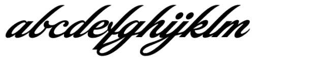 Picturama Founder Italic