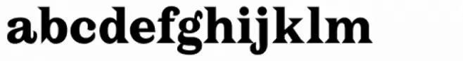 PL Latin Bold
