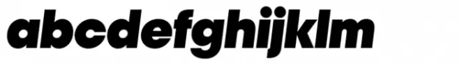 Polin Sans Black Italic