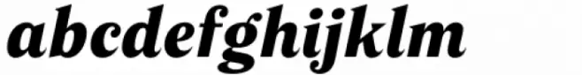 Poly Black Italic
