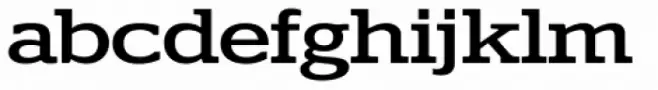 Polyphonic Wide Medium