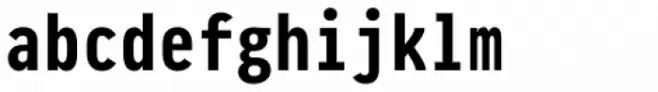 Pragmata Pro Bold