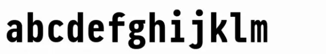 Pragmata Pro Mono Bold Liga