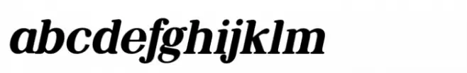 Preparatori Extra Bold Italic