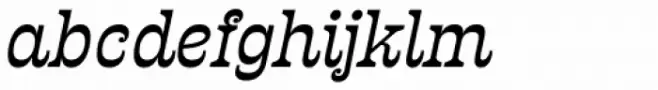 Presley Slab Medium Italic