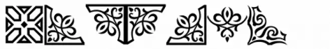 PT Ornament