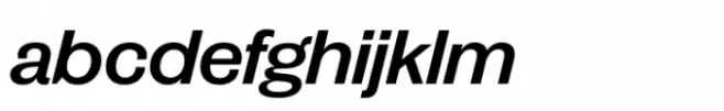Publish Gothic Expanded Std Demibold Italic