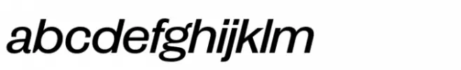 Publish Gothic Expanded Std Medium Italic
