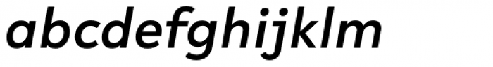 R-Flex Medium Italic