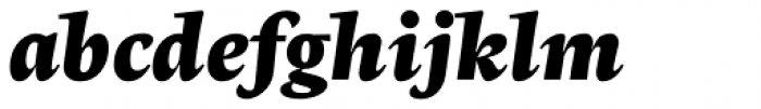 Radiata Heavy Italic