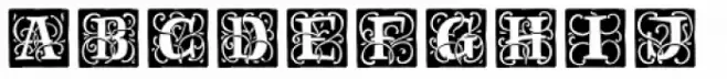 Renaissance Initial Light Black