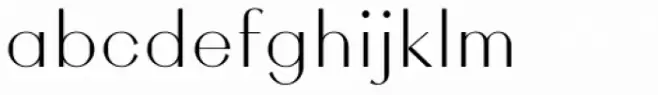 Rigidica Display Light