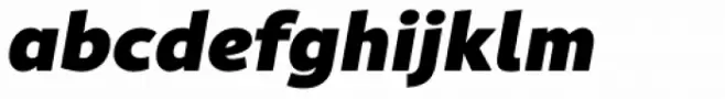 Rival Sans Black Italic