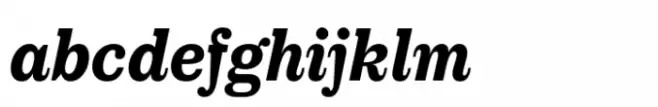 Royal Theater Serif Std Bold Italic