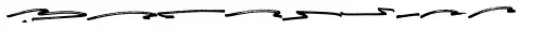 Rushtard Brush Swash 1