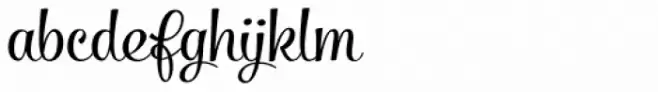Salamander Script