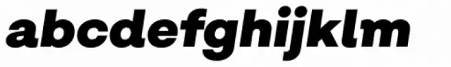 Salvatore Black Italic