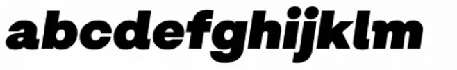 Salvatore Ultra Black Italic