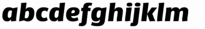 Sanserata Black Italic