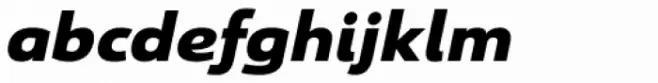Savigny Black Extended Italic