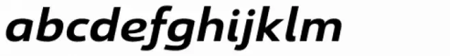 Savigny Bold Extended Italic
