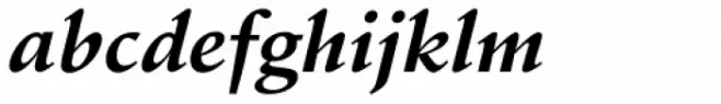 Schneidler Bold Italic