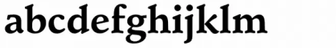 Schneidler Bold