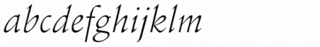 Schneidler Light Italic