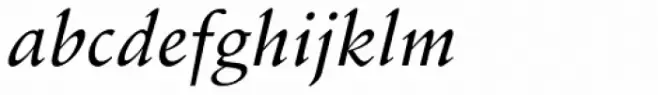 Schneidler Medium Italic