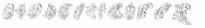 Schwandner Ornaments