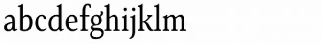 Senlot Serif Condensed Book